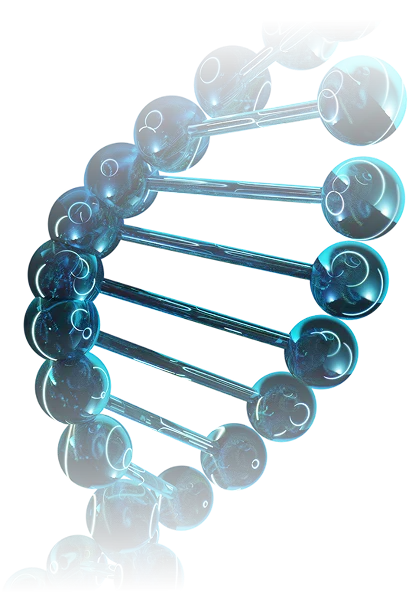DNA